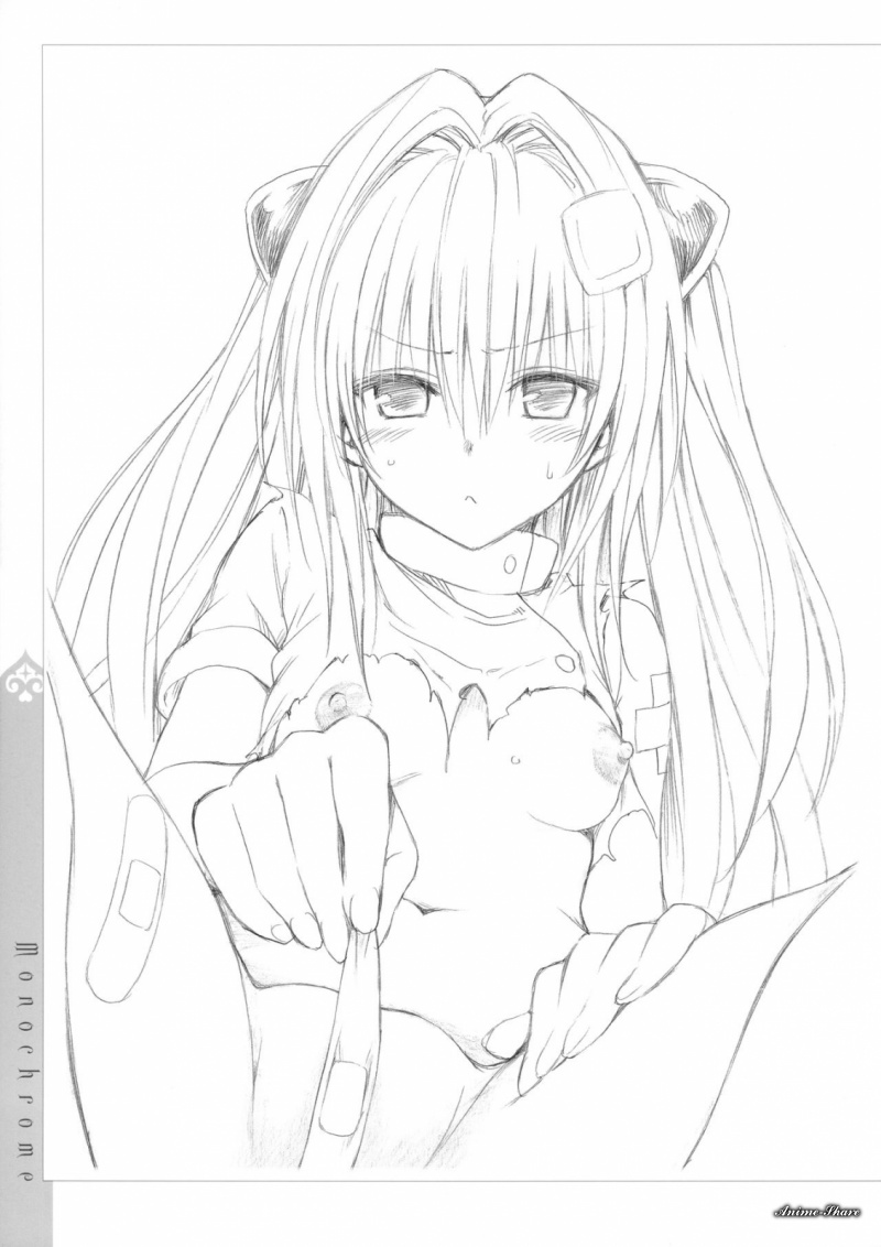 Фотография 494