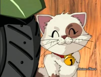 Bondage House / Дом связывания