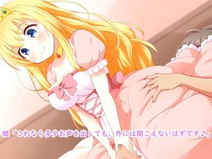 Seijun Ohime-sama no Amaama Sourou Kaizen Tokkun The Motion Anime